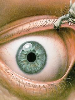 SALERNOTRASGRESSIVA-LINGERIE SERIE INFERNALE GIRONE LUSSURIA.