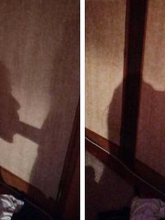 L' ombra del Dottore