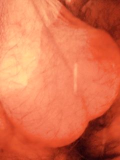 Un po di me Parte 43