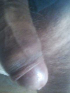 Attivo peloso in carne