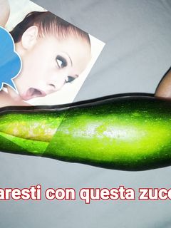 La zucchina del mio orto
