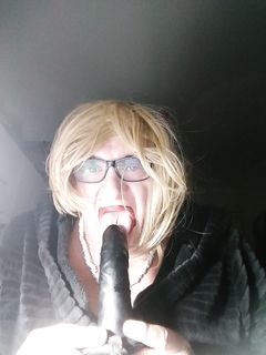 PANORAMICA DA TROIA...