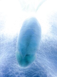 Ho voglia di farmi spompinare