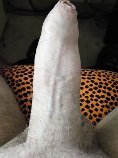 Huge cock tied very tightly with a rope