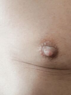 I capezzoli di Pamela trav