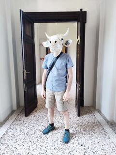 The Wizard in holiday