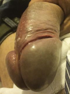 Il mio cazzo Parte 132