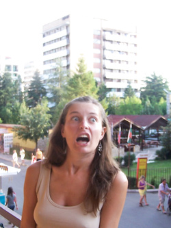 Foto di una porca di Miami