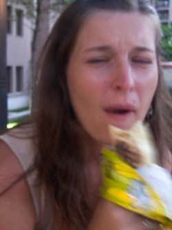 Foto di una porca di Miami