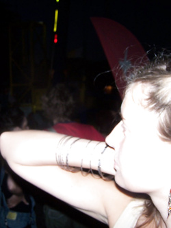 Foto di una porca di Miami