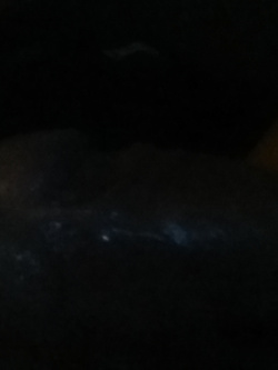 Disponibile per incontri di puro sesso