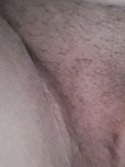 Sempre la mia porcella