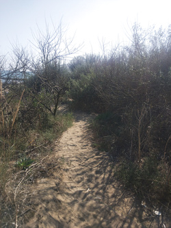 Al morto... Spiaggia nudista