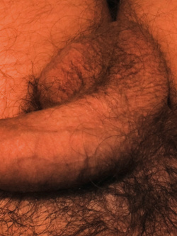 Un bel cazzo normodotato in erezione