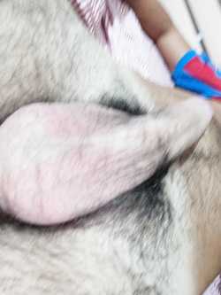 Cazzone duro Parte 2