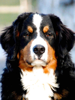 !!!!!!!..............