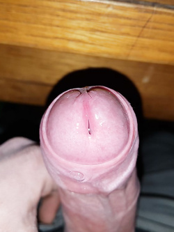 Il mio cazzo duro Parte 5