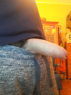 Il mio cazzo mezzo sopito...chi vuole risvegliarsi con la bocca