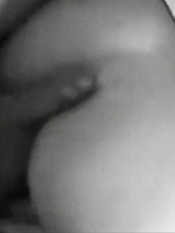 Cavalcando a pecorina