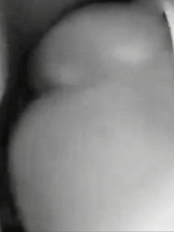 Cavalcando a pecorina