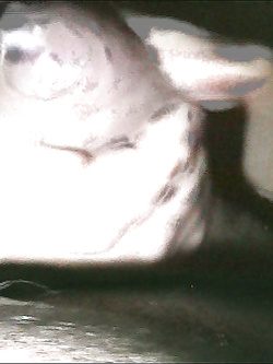 Anna puttanella corpo