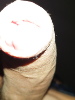 Un saluto a tutte voi