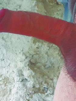 sempre su chi va là....