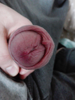 Il mio giocattolino Parte 2