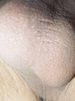 Mostro tutto depilato estate settembrina