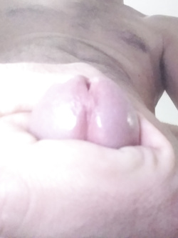 In cerca di casalinghe...