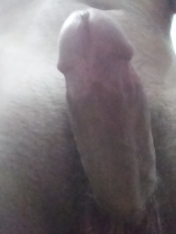 In cerca di casalinghe...