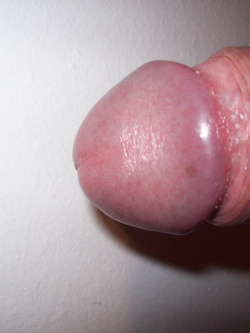 FOTO SERALI AL CAZZO VOGLIOSO