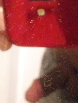 Prima e dopo RASATURA