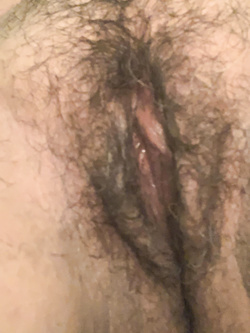 Sempre io fica pelosa