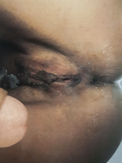 Tributi da alcuni maschietti porcellini