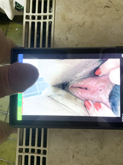 Piccole Soddisfazioni