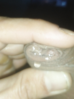 Il mio cazzo Parte 127