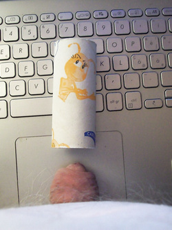 Qualche signora che voglia provare?