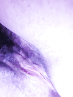 Bellissima. Mia. Moglie