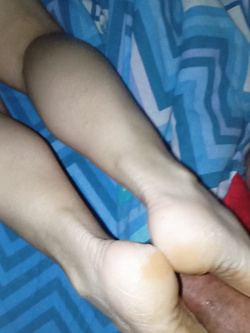 La troia ammenettata