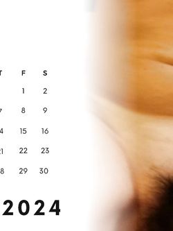 Omaggio a coppia 2000