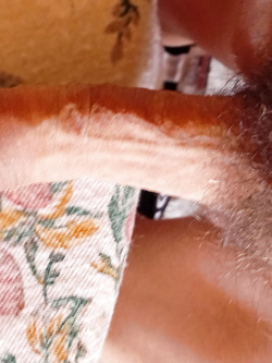 ass selfie 3 Parte 2