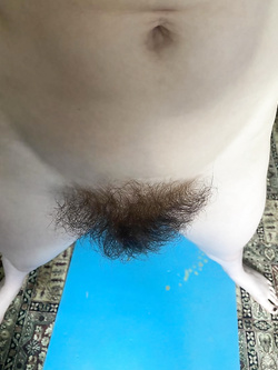 Sempre lei la pelosa