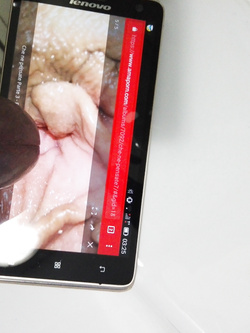 Foto dedicate alla compagnia di maschiosiculo