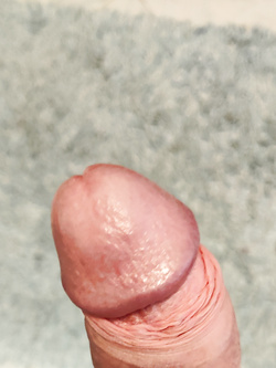 La mia grossa cappella dura