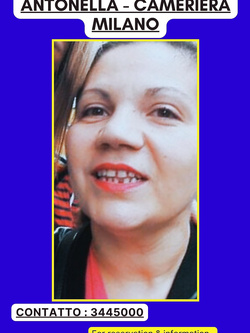 ESIBIZIONI DI PORCHE QUALUNQUE