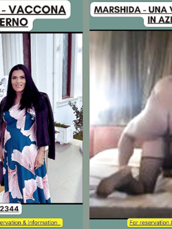 ESIBIZIONI DI PORCHE QUALUNQUE