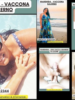 ESIBIZIONI DI PORCHE QUALUNQUE