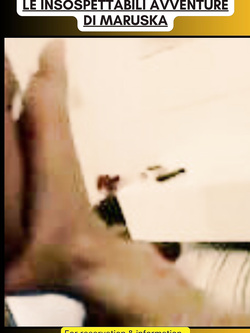 ESIBIZIONI DI PORCHE QUALUNQUE