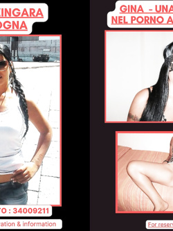 ESIBIZIONI DI PORCHE QUALUNQUE